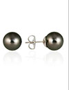 tahitian-black-stud-earrings