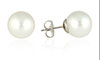 south-sea-stud-earrings