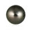 tahitian-black-stud8